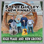 Steve Gulley & New Pinnacle - She's A Taker