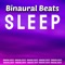 Brain Power - Binaural Beats Sleep lyrics