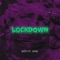 Lockdown artwork