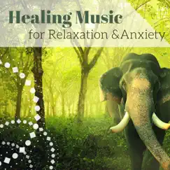 Healing Music for Relaxation & Anxiety: Guided Meditation Music, Sleep & Yoga Relaxation, Inner Peace by Asian Zone & Meditation Masters album reviews, ratings, credits