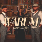 Warum artwork