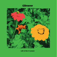 Glitterer - Life Is Not a Lesson artwork