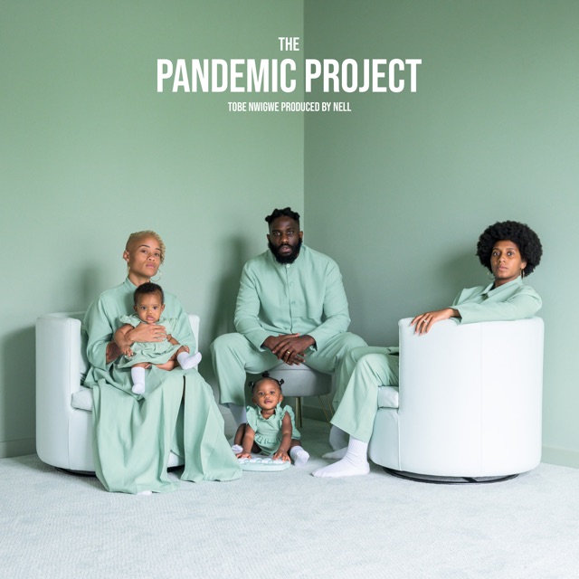 The Pandemic Project Album Cover