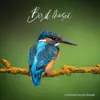 Bird Music - Single album lyrics, reviews, download