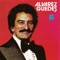 El Soldado Martinez - Alvarez Guedes lyrics