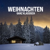 Weihnachtsoratorium, BWV 248, Pt. 2: No. 10, Sinfonia artwork