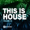 This Is House, Vol. 05