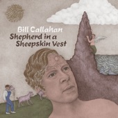 Bill Callahan - The Ballad of the Hulk