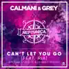 Can't Let You Go (Svniivan & Leonail & Tavengo Remixes) [feat. Ria] - Single album lyrics, reviews, download