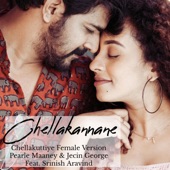 Chellakannane (feat. Srinish Aravind) [Chellakuttiye female version] artwork
