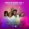 Peace in Elohim, Vol. 1: The Compilation