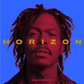 Horizon artwork
