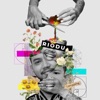 Riodu - Kau Yang Terindah