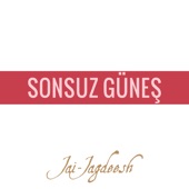 Sonsuz Güneş artwork