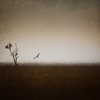 Home - EP