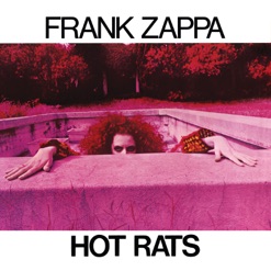 HOT RATS cover art