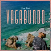 Vagabundo artwork