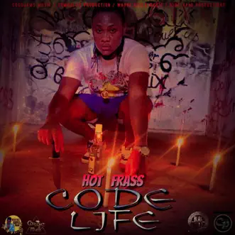 Code Life by Hot Frass song reviws