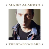 Marc Almond - Tears Run Rings (12" Version)