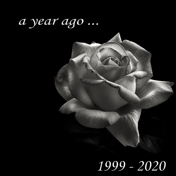 Cover artwork for A Year Ago