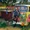 Elif AKBAS - Iz