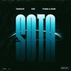 Sota by Temoor iTunes Track 1