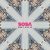 Won't Give Up by Sosa UK iTunes Track 1