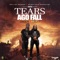 Tears Ago Fall (feat. Ceejay) - CeeJay lyrics