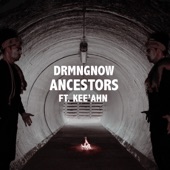 Drmngnow - Ancestors