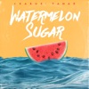 Watermelon Sugar - Single