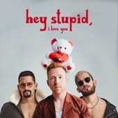 Hey Stupid, I Love You (Spanglish Version) artwork