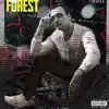 Forest - Single album lyrics, reviews, download