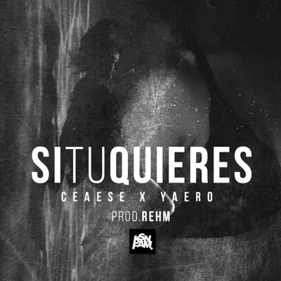 Si Tu Quieres (feat. Yaero) - Single - Ceaese