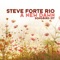 A New Dawn - Steve Forte Rio lyrics