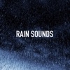 Rain Sounds