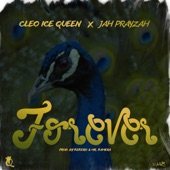 Forever (feat. Jah Prayzah) artwork