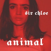 Sir Chloe - Animal