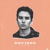 Bruises - Single artwork