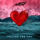 Falling For You (Radio Edit) artwork