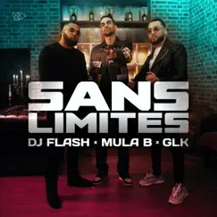 Sans Limites - Single by DJ Flash, Mula B & GLK album reviews, ratings, credits