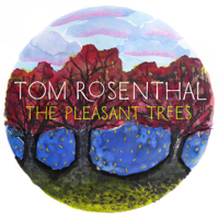 Tom Rosenthal - Go Solo artwork