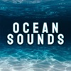 Ocean Sounds