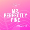 iSingKeys - Mr. Perfectly Fine (Originally Performed by Taylor Swift)