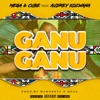 GanuGanu - Single