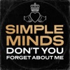 Don't You (Forget About Me) by Simple Minds iTunes Track 22