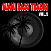 Miami Bass Tracks - Bass in the Shade