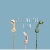 What Do You Need artwork