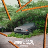 Amore nero artwork