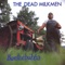 Punk Rock Girl - The Dead Milkmen lyrics