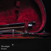Moonlight Sonata (Remastered 2020) [feat. Ludwig van Beethoven] artwork